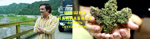 молекула духа Волоколамск