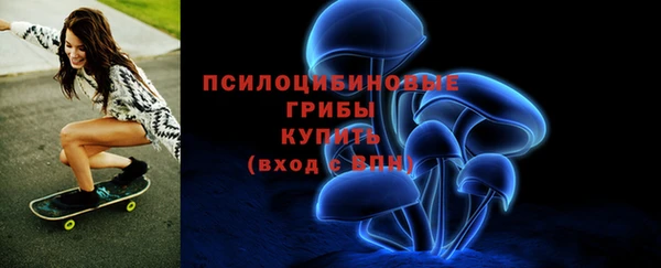 молекула духа Волоколамск