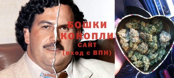 молекула духа Волоколамск