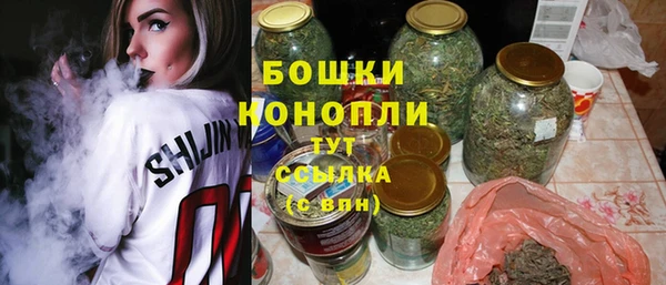 молекула духа Волоколамск
