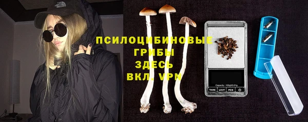 молекула духа Волоколамск